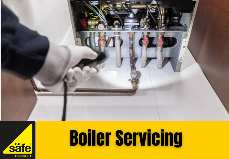 boiler service Birkenhead